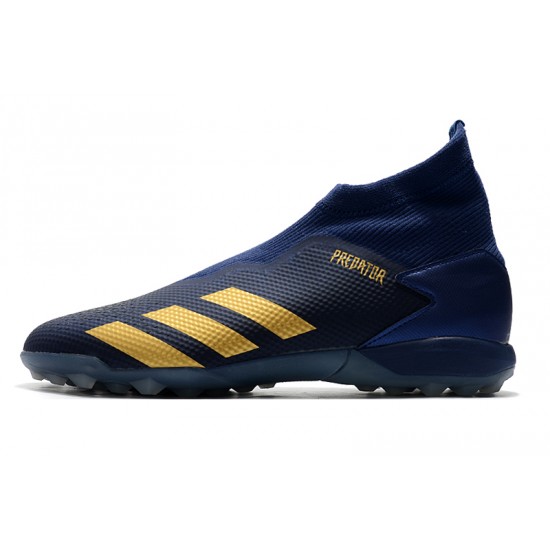 gold blue predators